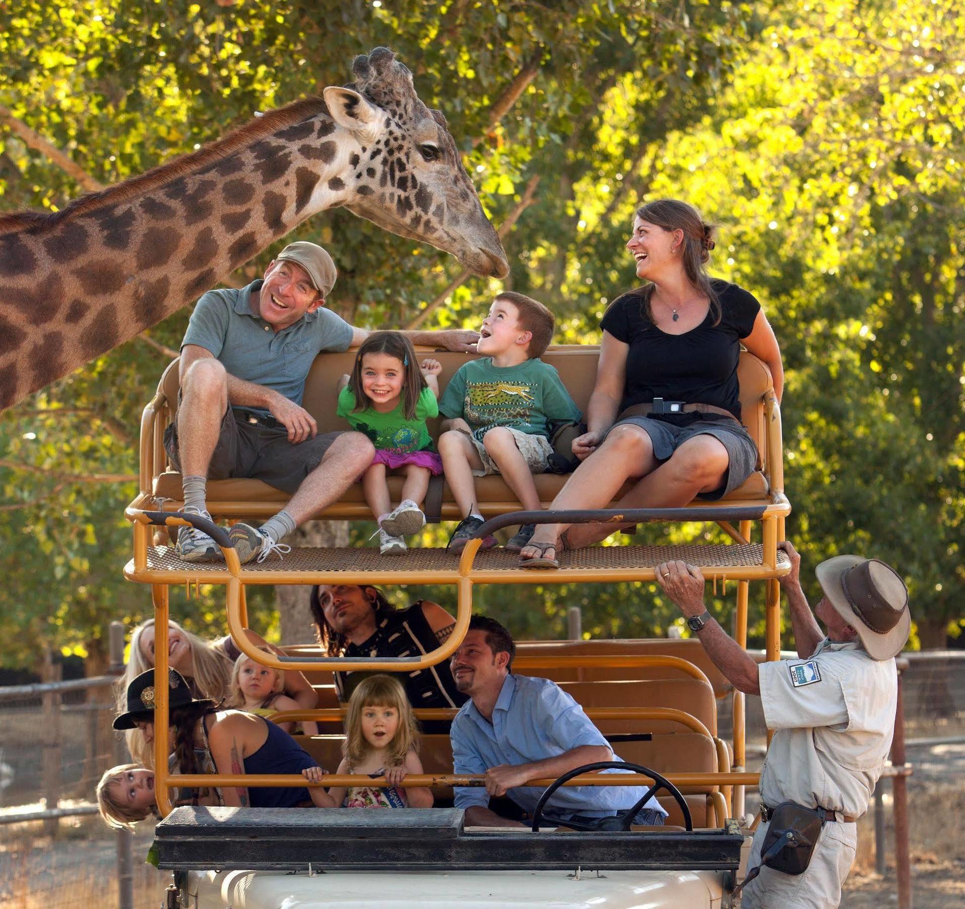 ホテル Safari West Mark West Springs エクステリア 写真